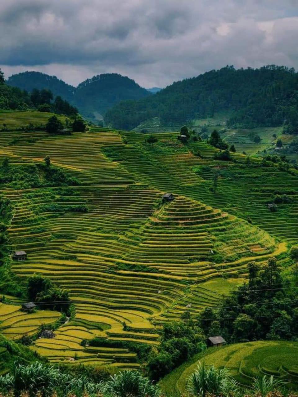 Mu Cang Chai Eco Home Luaran gambar