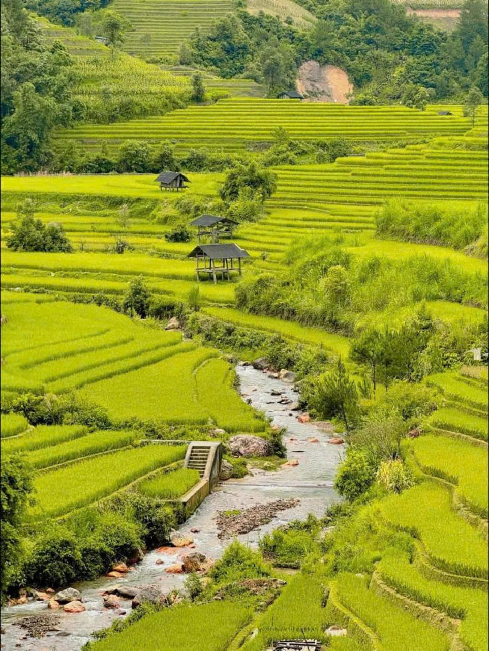 Mu Cang Chai Eco Home Luaran gambar