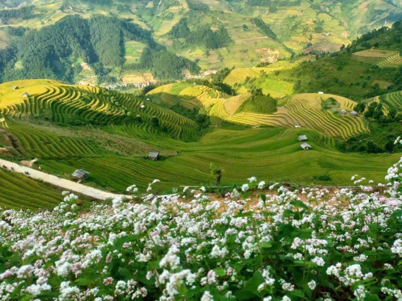 Mu Cang Chai Eco Home Luaran gambar